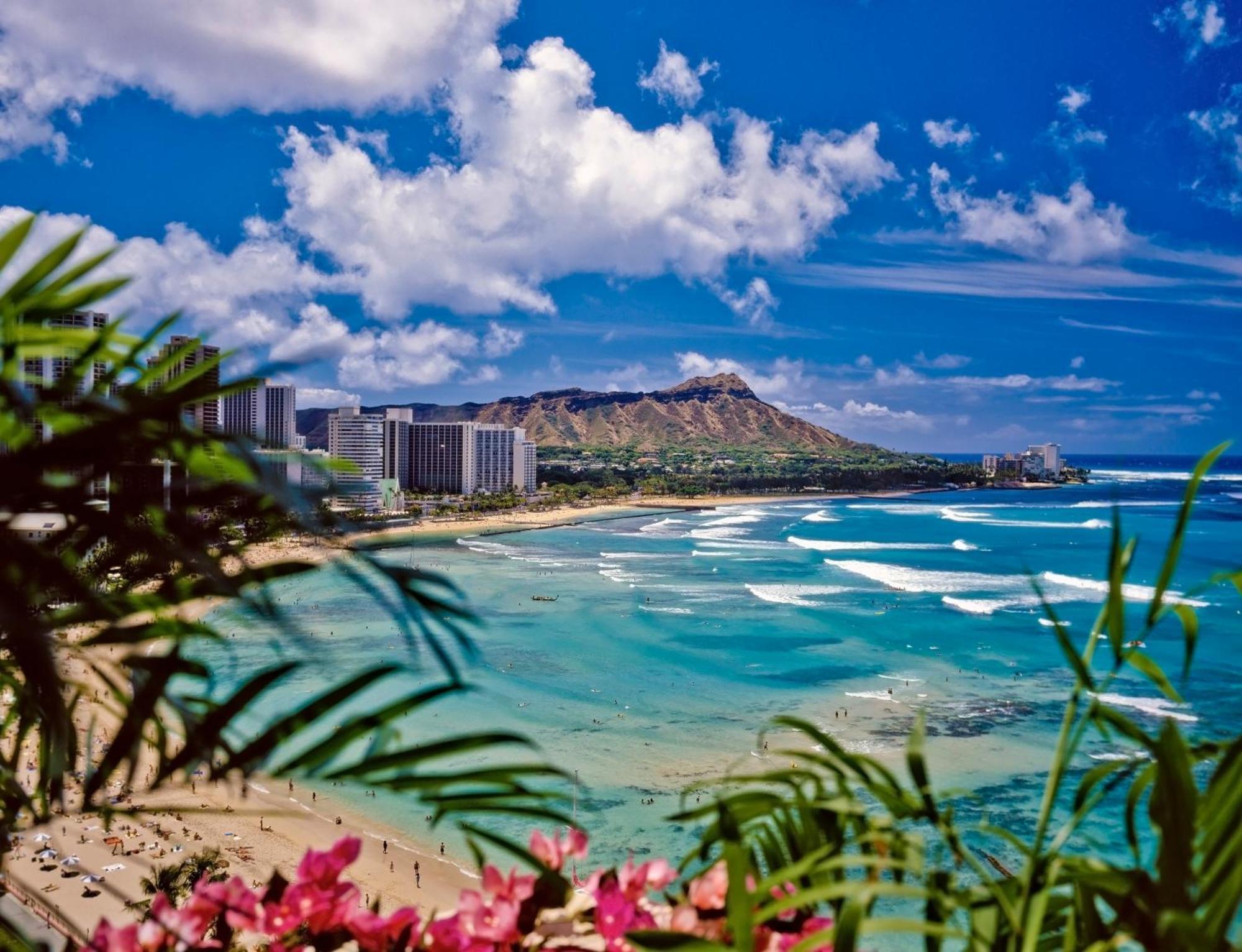 Mountain View Condo W/ King-Size Bed, Free Parking Honolulu Exteriér fotografie